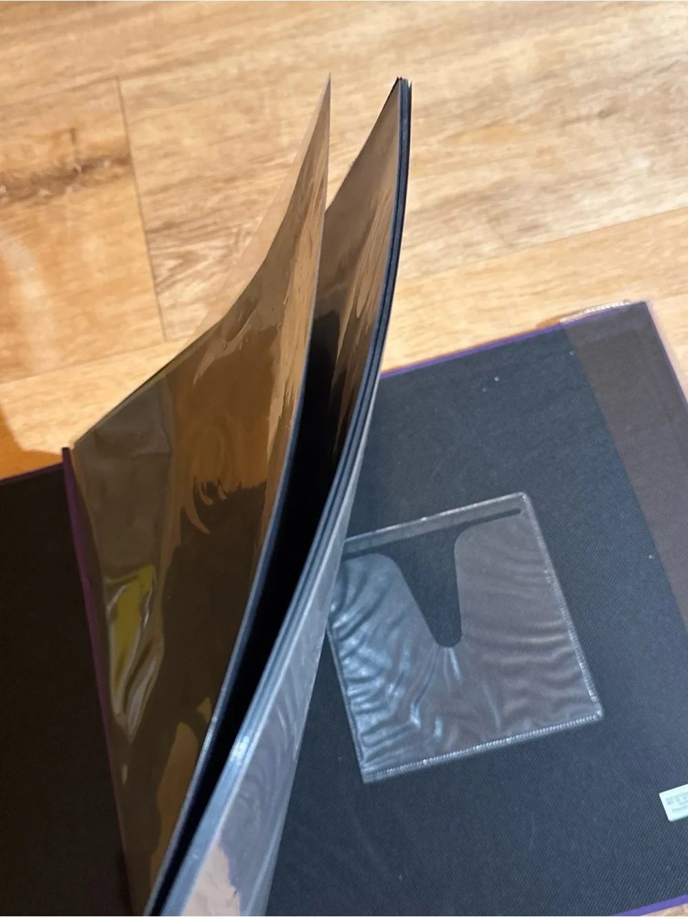 Recollections description 12”